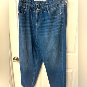 💙LNWOT 💙Wonderly💙Paper Bag Waist Jeans💙16W💙